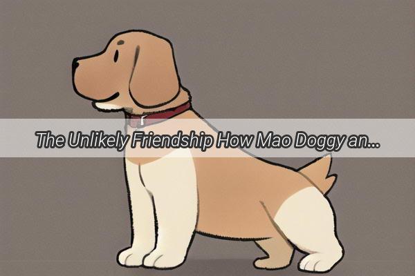 The Unlikely Friendship How Mao Doggy and Cao Xiaoxi Turned Strangers into Soulmates